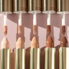 Wander Beauty Dualist Matte & Illuminating Concealer Makeup - Rich