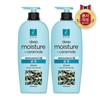 Elastin Ceramide Moisture Shampoo 680ml x 2 / 엘라스틴 세라마이드 모이스처 샴푸 680ml x 2개