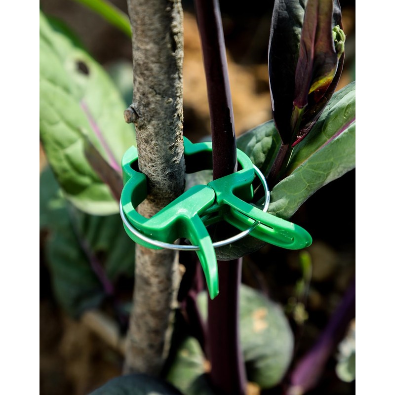 Plant Clips Plant Clips for Trellis Tomatoes, Roses, Cucumbers and