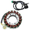 For Can-Am Stator & Pickup Coil for Bombardier Can-Am Ds