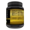 Creatina Glutamina Suplemento Golds Protein 1kg 50serv