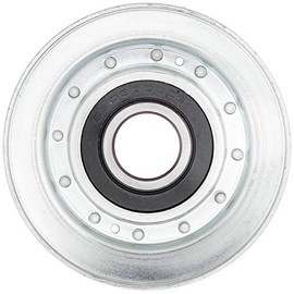 Pulley 505900074