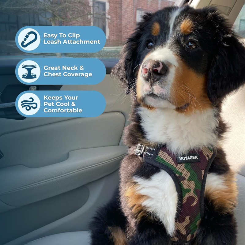 Voyager Adjustable Dog Harness with Reflective Stripes by Best Pet