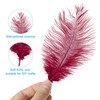 PATIKIL 8-10 Inch(20-25cm) Ostrich Feathers, 30 Pack Artificial Ostrich Feathers