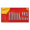 Amtech I8550 15 Piece Hex bit and Socket Set
