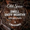 Old Spice Old Spice Body Wash for Men, Eaglefangs, Long
