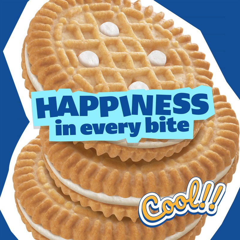 Brinky Biscuits USA, 24 Biscuits 12 Pieces & 33 Gram