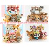 littlepeta 5 Random Pets and 10 Random Accessories miniature cat