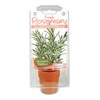 Dunecraft Rosemary Capsule Terrarium Science Kit