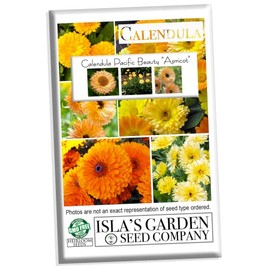 "Apricot Pacific Beauty" Calendula Seeds for Planting, 250+ Seeds Per Packet, (Isla's Garden Seeds), Non GMO & Heirloom Seeds, Scientific Name: Calendula officinalis, Great Home Flower Garden Gift
