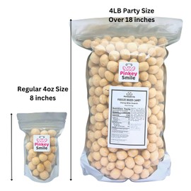 PinkeySmile Honey Bite Crunch Freeze-Dried Candy 4 LB – Bite-Size Pieces – Light & Crispy Honey-Flavored Snack – Resealable Bag – Ships in Box