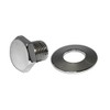 AA Performance Products Chrome Crank Pulley Nut & Washer
