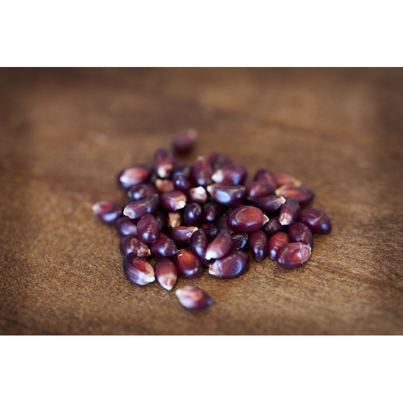 Amish Country Popcorn | 2-2 lbs Bags | Red Popcorn