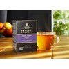 Taylors of Harrogate Earl Grey, Black Tea, Pillow Bags, 50