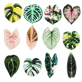 BOXOB 12pcs Leaf Shaped Fridge Magnets, Plant Themed Decorative Refrigerator Magnets for Kitchen Office School Locker Home Decor, Funny Gift Idea for Plant Lovers Housewarming Christmas Birthday