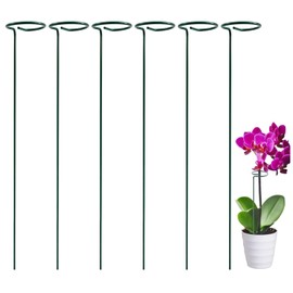 6 Pack Plant Support Stakes, 24 Inch Tall Garden Plant Stakes and Supports, Plant Sticks for Indoor Outdoor Single Stem Flower Peony, Orchid, Lily, Amaryllis, Rose, Tomato Pepper Plants Supports