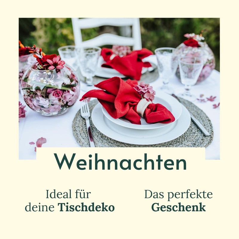 BewusstGrün 12 Fair & Sustainable Fabric Napkins + Folding Instructions,
