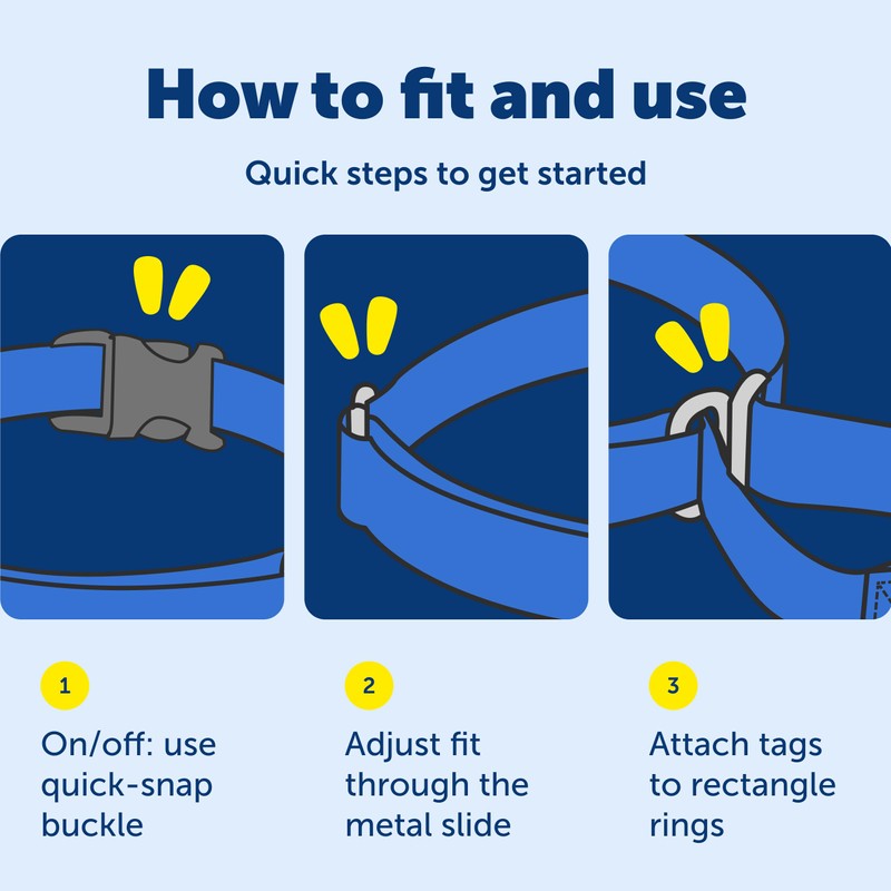 PetSafe Martingale Dog Collar with Quick Snap Buckle - No