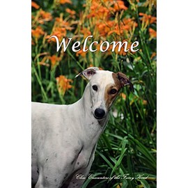 Greyhound - Best of Breed CEFK Welcome Photo Garden Flag