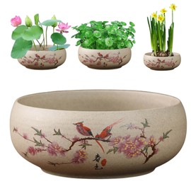 Lotus Bowl Planter, Ceramic Water Lily Bowl, Hydroponic Bonsai Lotus Bowls for Water Plants Indoor, Succulent Pots, Leak-Proof Spring Bird Design (7.56in*2.76in)