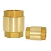 Dsmpipeft 1PCS 1/2''NPT Female Spring Check Valve, Solid Brass One