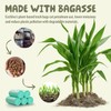 Small Compost Bags 2.6 Gallon Trash Bag, EcoSilva 125 Count