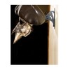 Skull Hooker Big Hooker Powder-Coated Steel Short Arm Trophy Mount