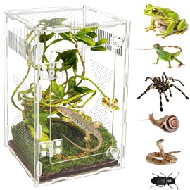 Acrylic Jumping Spider Habitat, Reptile Terrarium Easy Assembly, Bug Enclosure, Praying Mantis Habitat, Frog Enclosure, 9.8 * 5.9 * 5.9in