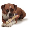 Charming Pet Squawkers Henrietta Latex Rubber Chicken Interactive Dog Toy,