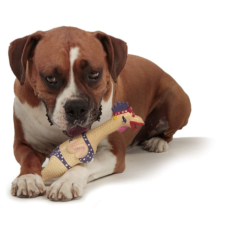 Charming Pet Squawkers Henrietta Latex Rubber Chicken Interactive Dog Toy,
