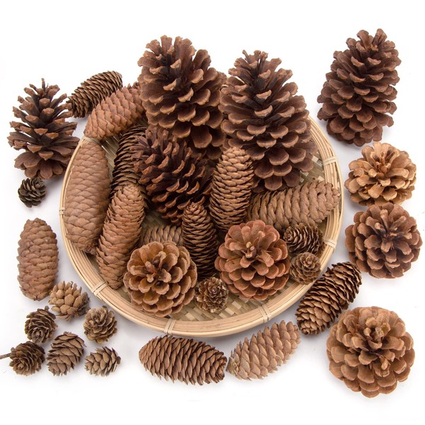 JOHOUSE 50PCS Natural Pinecone Ornaments, Pine Cones Bulk Natural Pinecones Assortment for Fall Winter Christmas Bowl Fillers