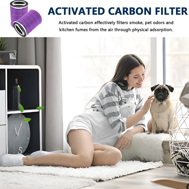 JISIZKY Replacement Air Filter P200S/G200S Compatible With Welov P200S/P200 PRO