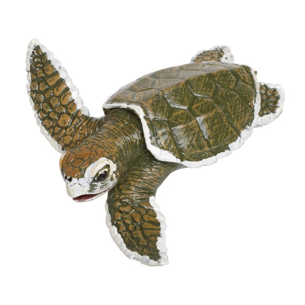 Safari Ltd. | Kemp's Ridley Sea Turtle Baby | Incredible Creatures | Toy Figurines for Boys & Girls