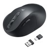 Sanwa Supply MA-ERGW22 Silent Wireless Ergonomic Mouse, Black