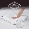 ROSE FEATHER Goose Down Feather Pillows Queen Size Set of