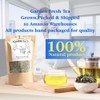 EidolonGreen [China Medicinal Herb] Bamboo leaves tea,Organic Bamboo Leaf Tea,