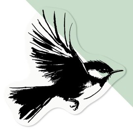 Azeeda 4 x 'Eurasian Wren Bird' Clear Sticker Decals – Waterproof Film for Windows, Cars, Walls & Crafts, Small (50mm) (DC00140280)