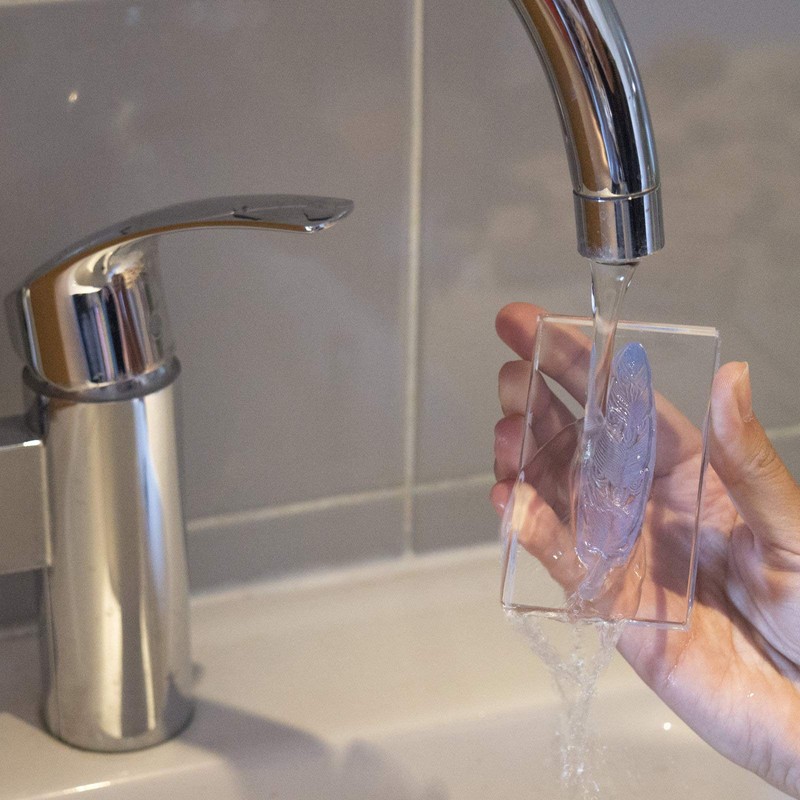 Aladine 04222 Stampo Clear gramines