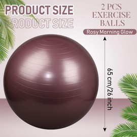 Leyndo 2 Pcs Yoga Ball Exercise Ball Large 26 Inch Exercise Anti Burst Birthing Fitness Ball with Pump, 26 Inches/ 65 cm for Improved Posture, Balance, Yoga, Pilates, Training(Rose)