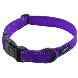 Max and Neo NEO Nylon Buckle Reflective Dog Collar - Large, Purple