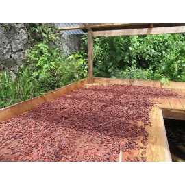 Semilla Grano De Cacao Oaxaqueño Orgánico Criollo 1kg