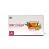 SANTULYA Herbal Tea (48 Tea Bags)(Pack of 1) | Turmeric