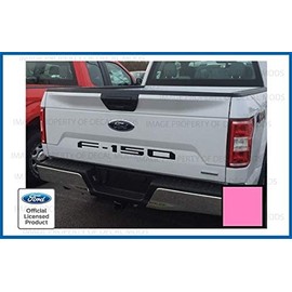 Decal Mods 2018-2020 F150 Tailgate Insert Decals Letters Inlays Indent Stickers (Thin) for Ford F150 (2018-2020) (Soft Pink) - CSOFTPINK