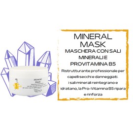 SETA PACK, Mineral Mask with Mineral Salts and Pro-Vitamin B5, Restructuring Mask for Dry and Damaged Hair, 500 ml
