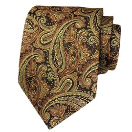 CHROME CRANE NR005 Men's Paisley Pattern Necktie, Solid Suit, Business, Formal, Casual