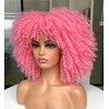 Curly Afro Wigs for Black Women Curly Wig with Bangs
