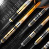 Red Dragon Amberjack 9: 28g Tungsten Darts Set with Flights