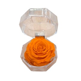 Genérico Eternal rose color orange in jewellery box original gift preserved rose orange natural preserved rose elegant decoration in love birthday anniversary mother's day