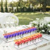 Clear Acrylic Flower Vase Multi Holes Elegant Decorative Long Rectangle