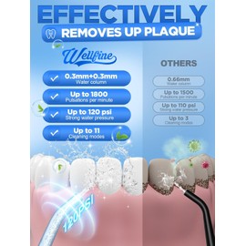 Wellfine Cordless Water Dental Flosser Deep Clean 5 Tips 300ML IPX7 Waterproof